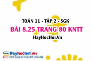 Bài 8.25 trang 80 Toán 11 tập 2 Kết nối tri thức
